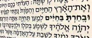 ד"ר בועז רון – רופא הומאופת M.D – הרצאות